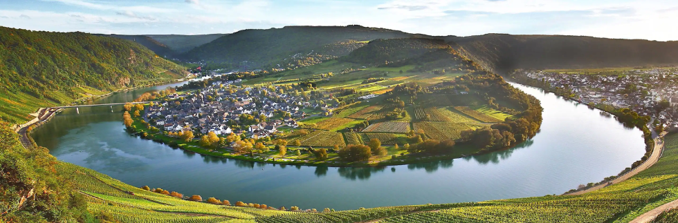 Vineyards of the Rhine & Moselle
