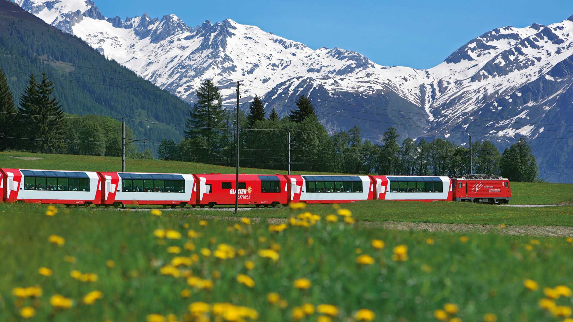 Swiss Travel