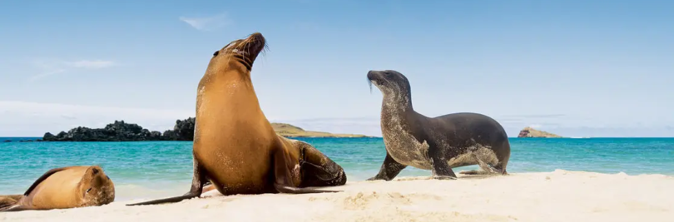 Roundtrip San Cristóbal, Galapagos