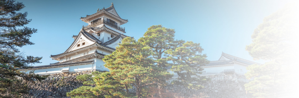 BLOSSOMS, TOWERS & TEMPLES