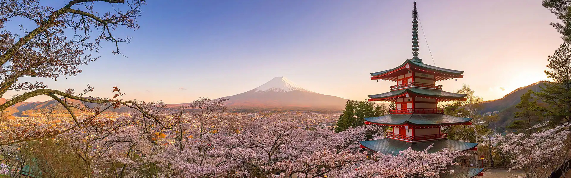 Osaka, Jeju & Mt. Fuji